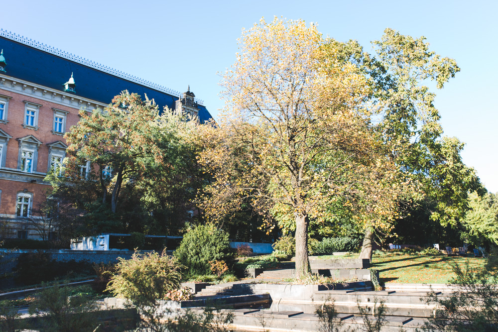 Paarshooting Planten un Blomen